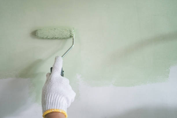 What is the One Service That Can Transform Your Home's Atmosphere Overnight?